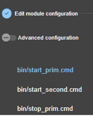 Image de la console web SafeKit
Éditer le script start_prim du module miroir avec l'assistant de configuration du module